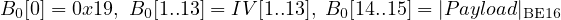 B0[0] = 0x19, B0[1..13] = IV[1..13], B0[14..15] = |P ayload|BE16